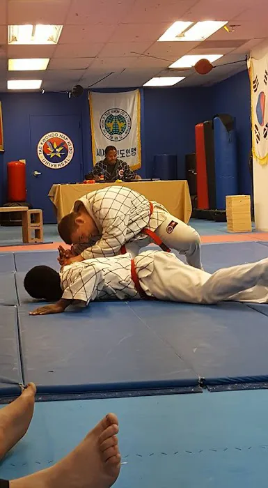 Universal Martial Arts Picture 4