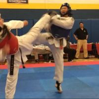 Universal Martial Arts ico