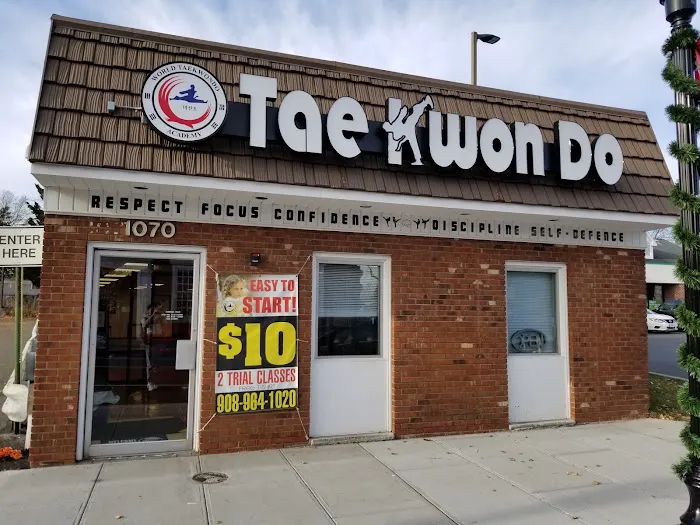 K.S. Tae Kwon Do Academy of Union Picture 6
