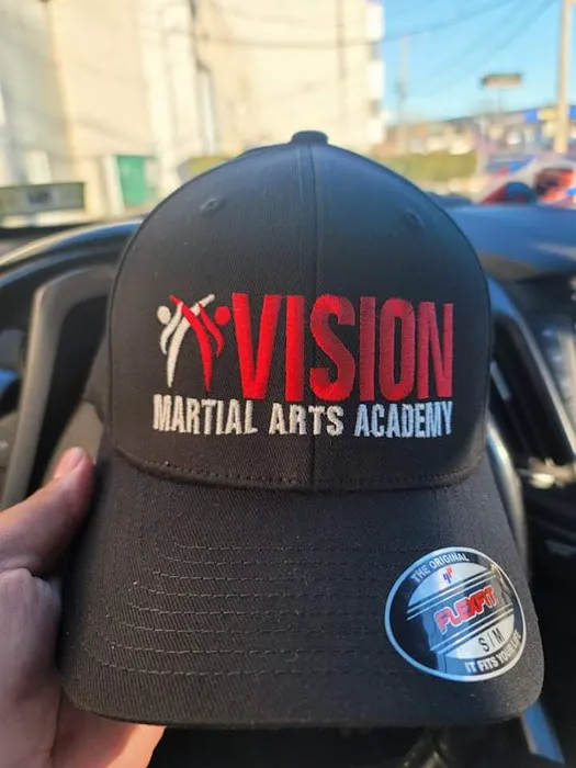 Vision Martial Arts Academy Picture 5