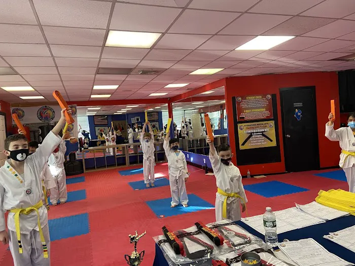Vision Martial Arts Academy Picture 6