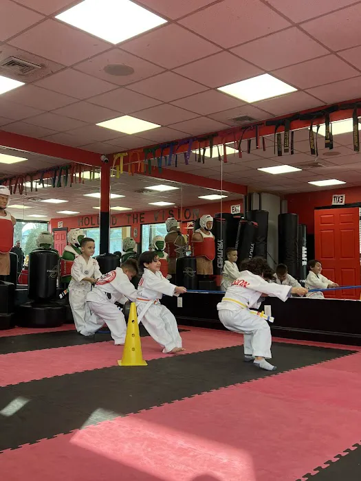 Vision Martial Arts Academy Picture 7
