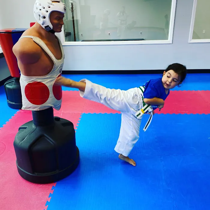 Invictus Taekwondo Picture 2