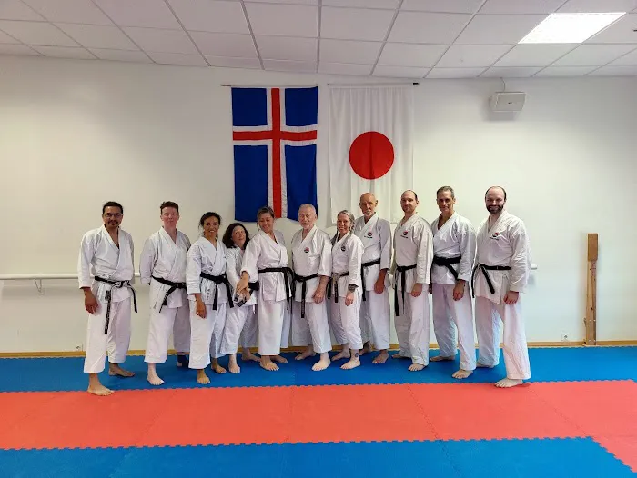 WTKO Karate of Staten Island Picture 3