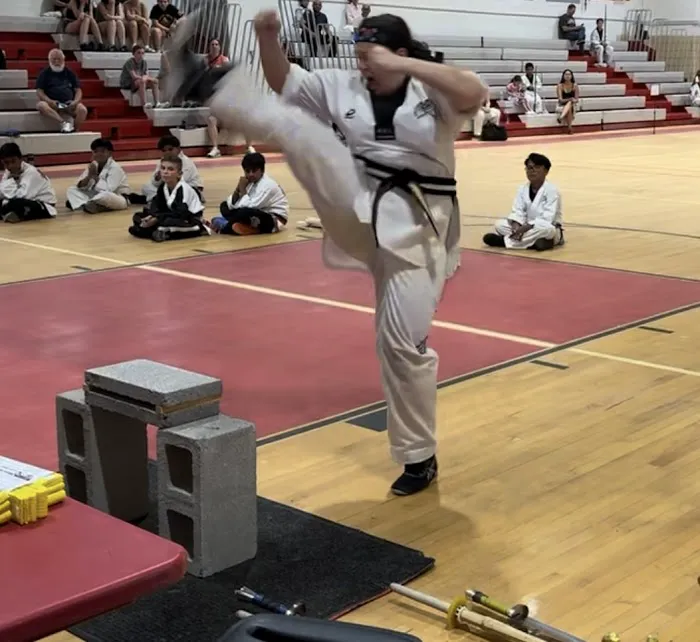 Karate USA Picture 3