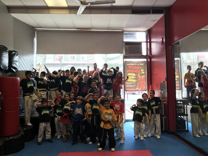 Karate USA Picture 7
