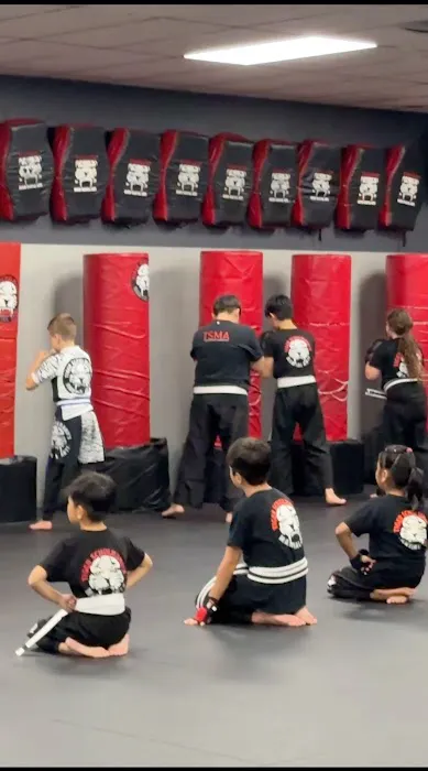 Tiger Schulmann's Martial Arts (New Dorp, NY) Picture 4
