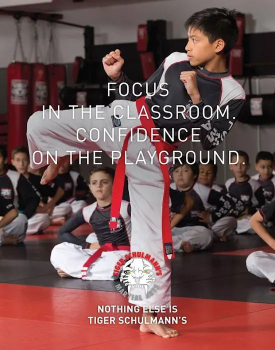 Tiger Schulmann's Martial Arts (New Dorp, NY) Picture 7