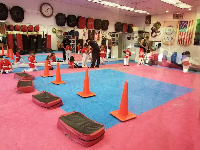 Dragon Kim's Karate USA Picture 1
