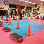Dragon Kim's Karate USA