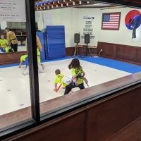 New York Taekwondo Un’s Dragon ico