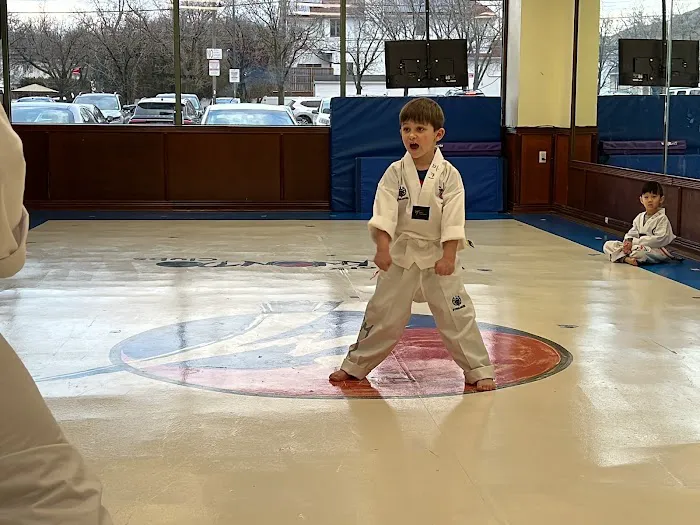New York Taekwondo Un’s Dragon Picture 8