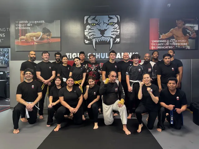 Tiger Schulmann's Martial Arts (Bay Ridge, NY) Picture 3