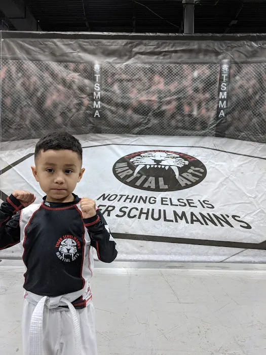 Tiger Schulmann's Martial Arts (Bay Ridge, NY) Picture 4