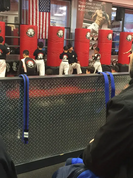Tiger Schulmann's Martial Arts (Bay Ridge, NY) Picture 7