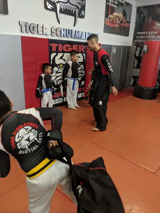Tiger Schulmann's Martial Arts (Bay Ridge, NY) Picture 8