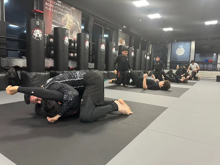 Tiger Schulmann's Martial Arts (Bay Ridge, NY) Picture 10