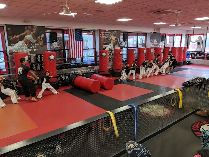 Tiger Schulmann's Martial Arts (Bay Ridge, NY) Picture 9