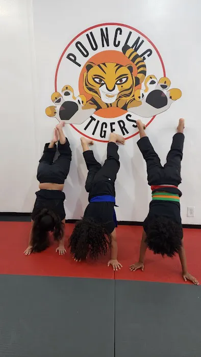 Pouncing Tigers Picture 7
