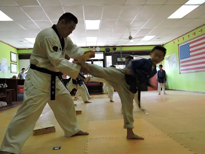 Total Martial Arts Center{TMAC Taekwondo School) Picture 4