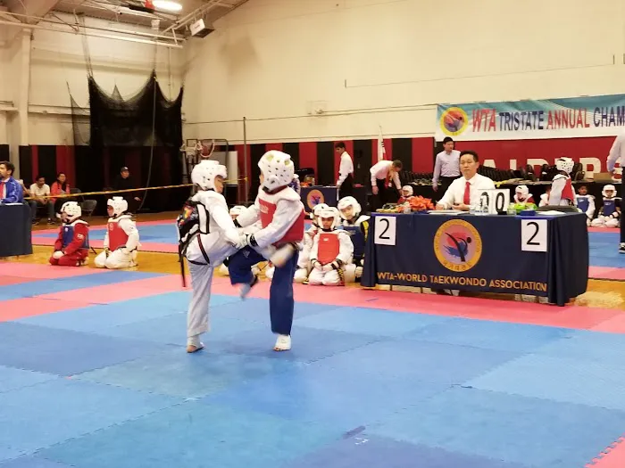 Total Martial Arts Center{TMAC Taekwondo School) Picture 6
