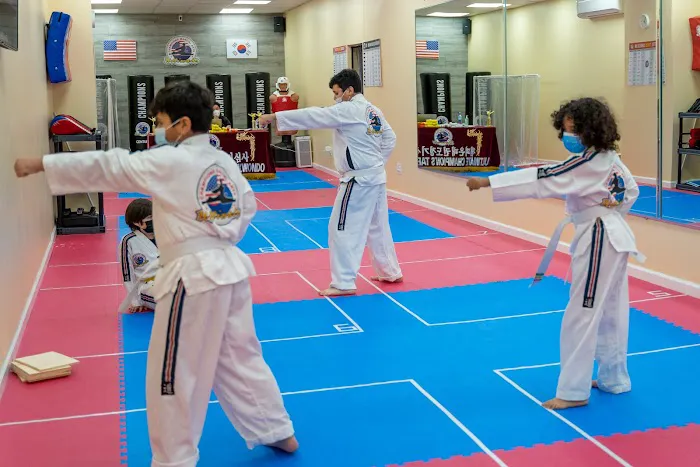 Champions Martial Arts Forest Hills Picture 9