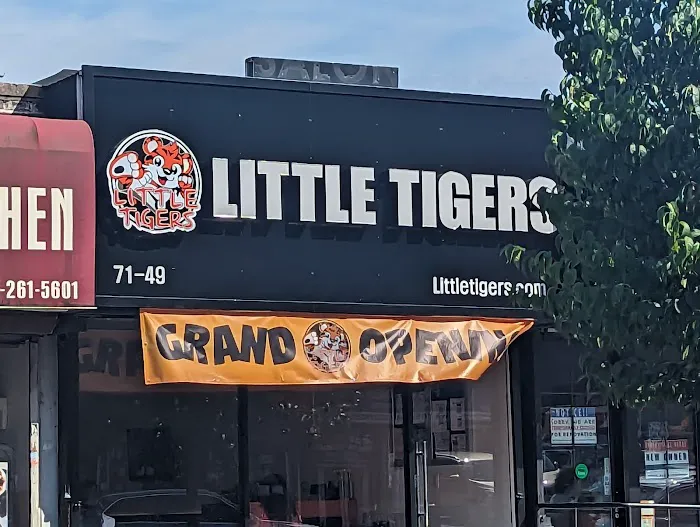 Little Tigers Forest Hills Picture 2