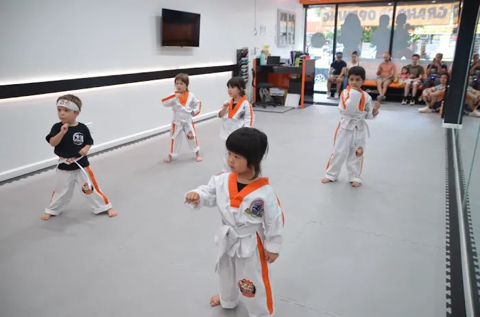 Little Tigers Forest Hills Picture 4