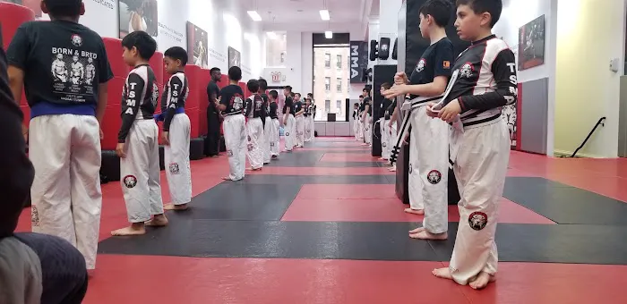 Tiger Schulmann's Martial Arts (Rego Park, NY) Picture 5