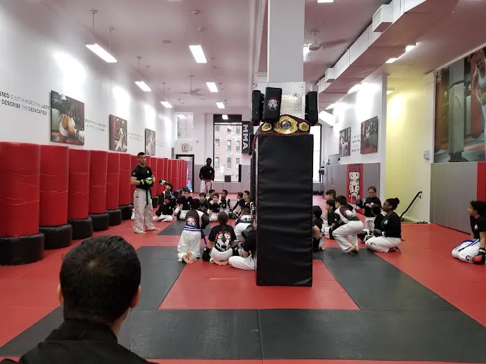 Tiger Schulmann's Martial Arts (Rego Park, NY) Picture 4