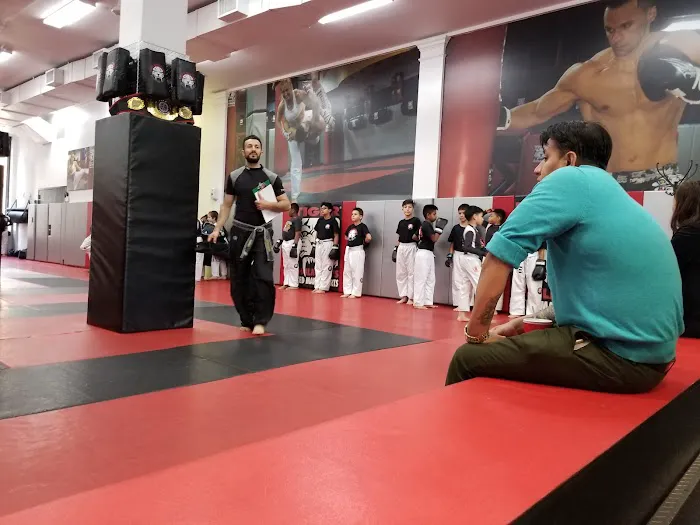 Tiger Schulmann's Martial Arts (Rego Park, NY) Picture 6
