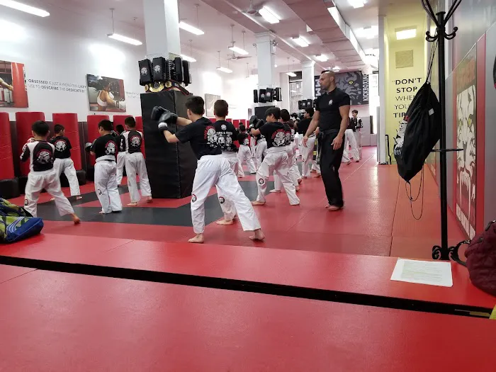 Tiger Schulmann's Martial Arts (Rego Park, NY) Picture 7
