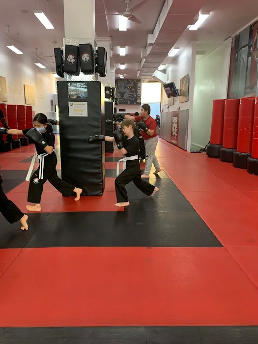 Tiger Schulmann's Martial Arts (Rego Park, NY) Picture 9