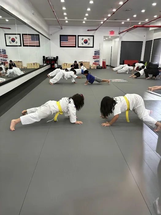 Vision Taekwondo Forest Hills Picture 4