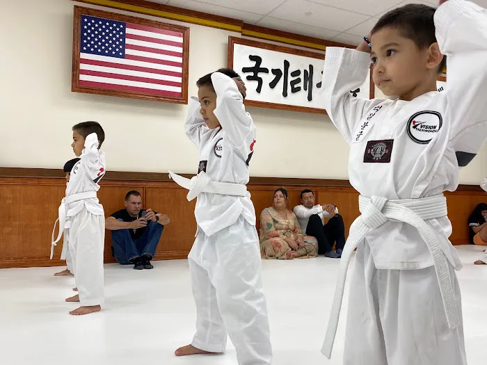 Vision Taekwondo Forest Hills Picture 8