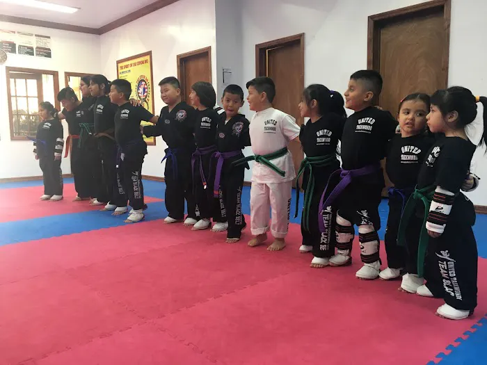 United Taekwondo Center / TMA Kickboxing Picture 5