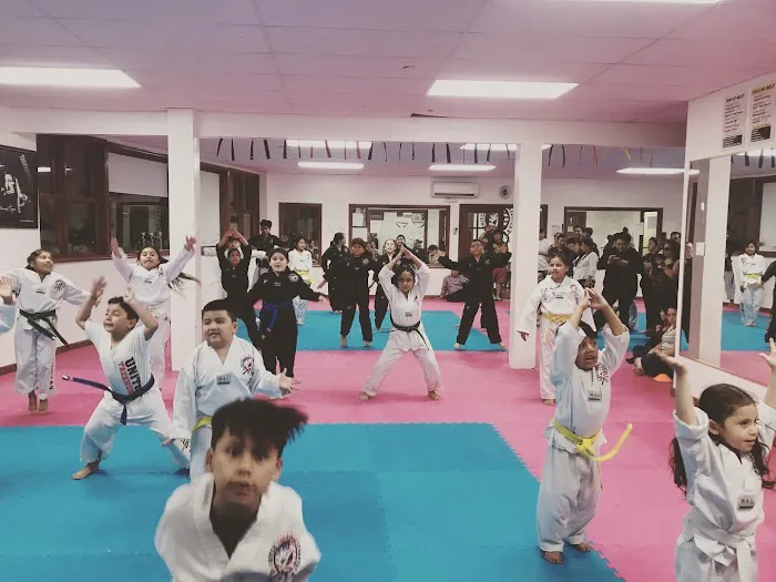 United Tae Kwon Do & TMA Kickboxing Picture 4