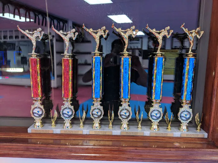 United Tae Kwon Do & TMA Kickboxing Picture 9