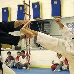 Haritos Martial Arts
