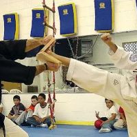 Haritos Martial Arts ico