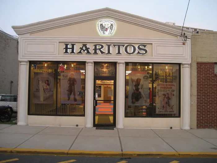 Haritos Martial Arts Picture 2