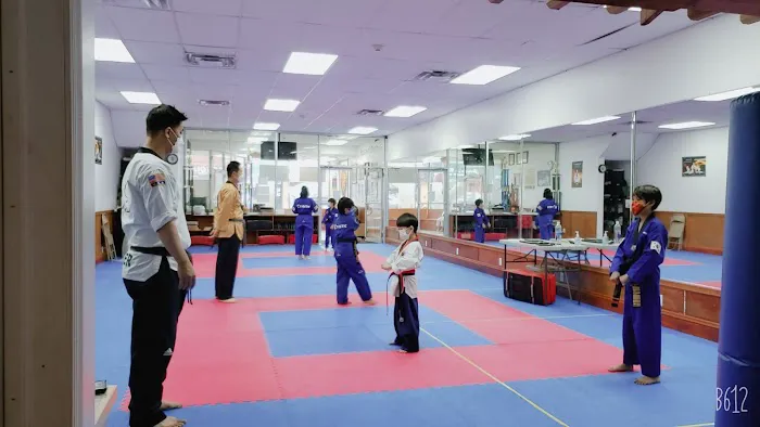 KTigers USA Taekwondo Picture 3