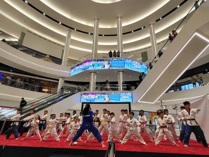 KTigers USA Taekwondo Picture 5