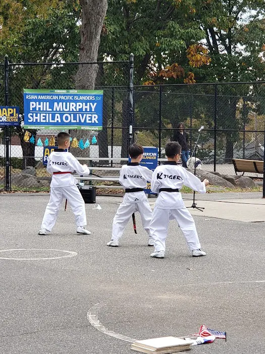 KTigers USA Taekwondo Picture 9