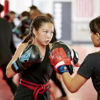 Tiger Schulmann's Martial Arts (Jackson Heights, NY) ico