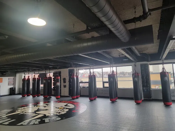 Tiger Schulmann's Martial Arts (Jackson Heights, NY) Picture 6