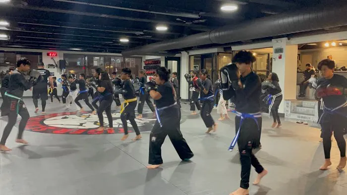 Tiger Schulmann's Martial Arts (Jackson Heights, NY) Picture 7