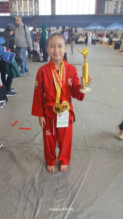 Korea Taekwondo-KTKD Corona Picture 1
