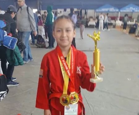 Korea Taekwondo-KTKD Corona