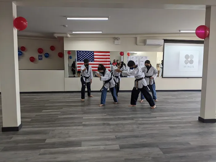 Korea Taekwondo-KTKD Corona Picture 2